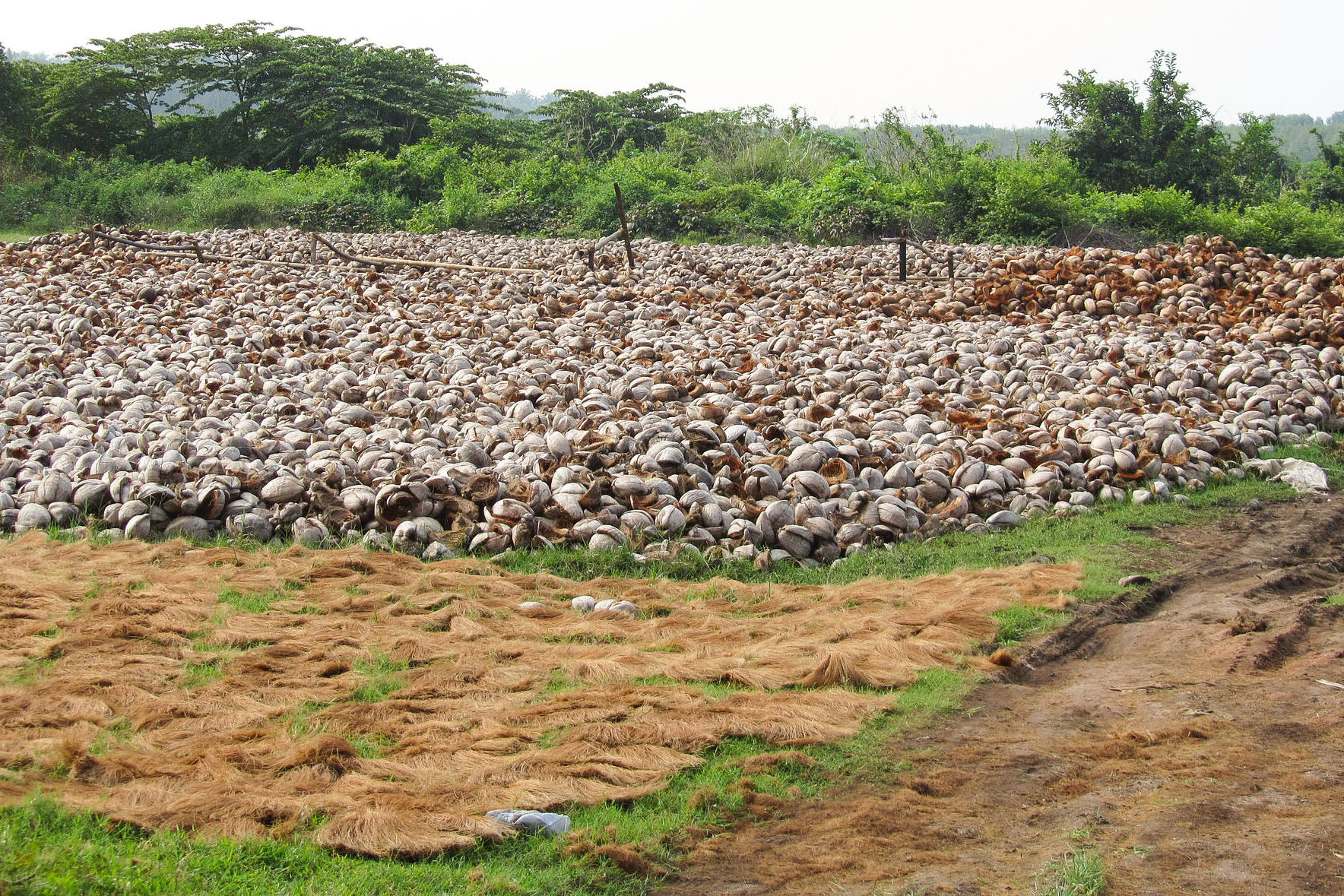Kokosfaserproduktion in Sri Lanka | Bild: flickr.com