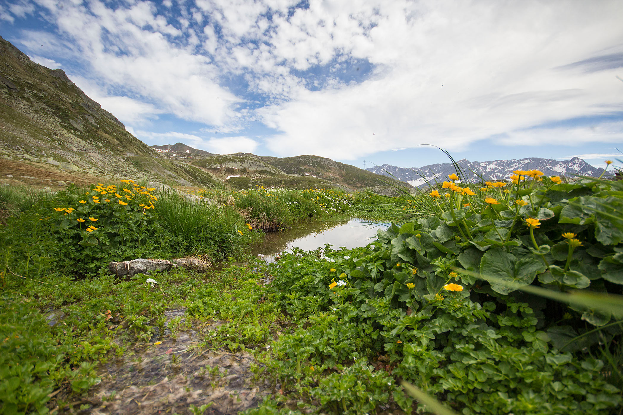 Quellgebiet der Reuss auf dem Gotthardpass. | Bild: Isabel Plana